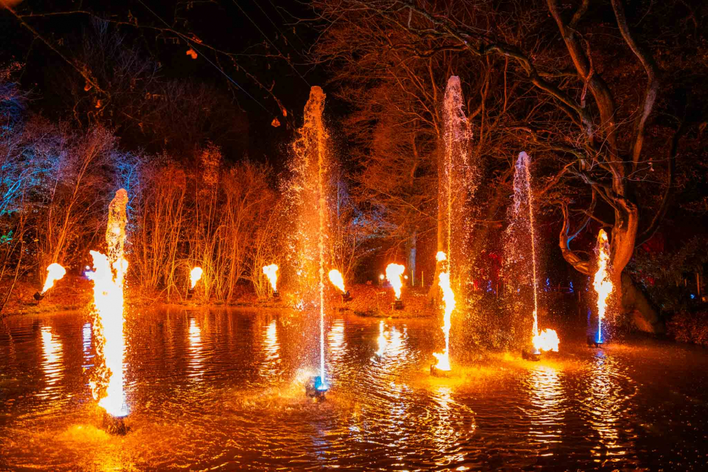 Fire Ice